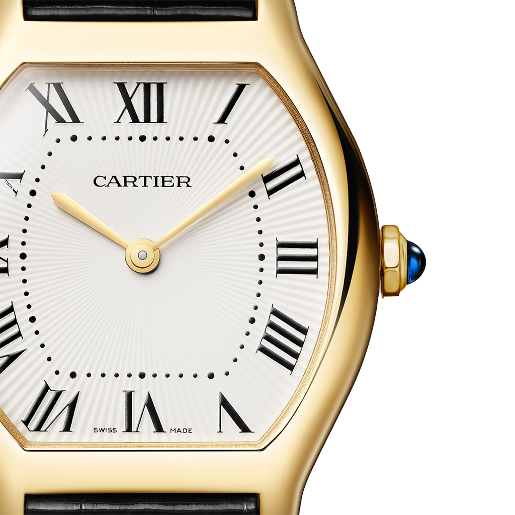 TT-Watch