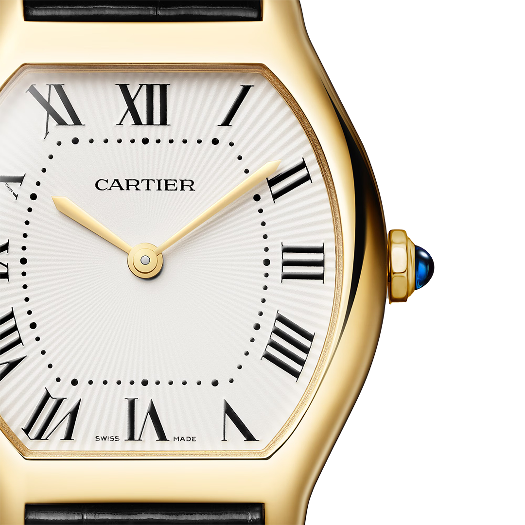 TT-Watch