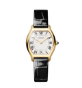 TT-Watch